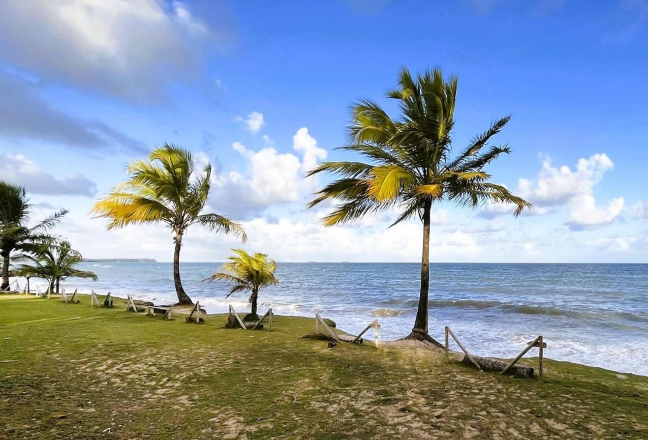 Alma Tropical Mini Resort Vera Cruz de Itaparica Luaran gambar